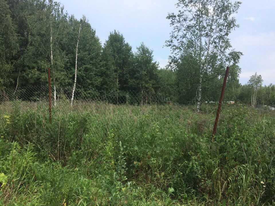 Участок, Чиверево