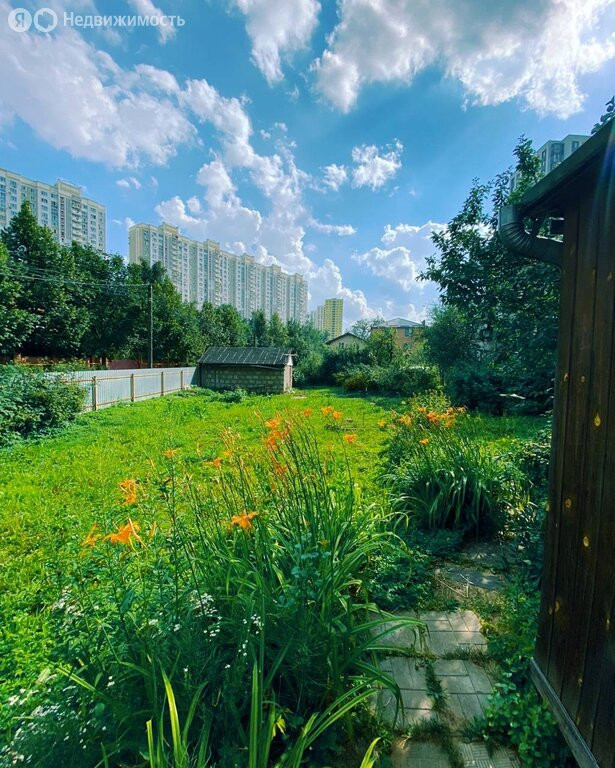 Участок, Химки