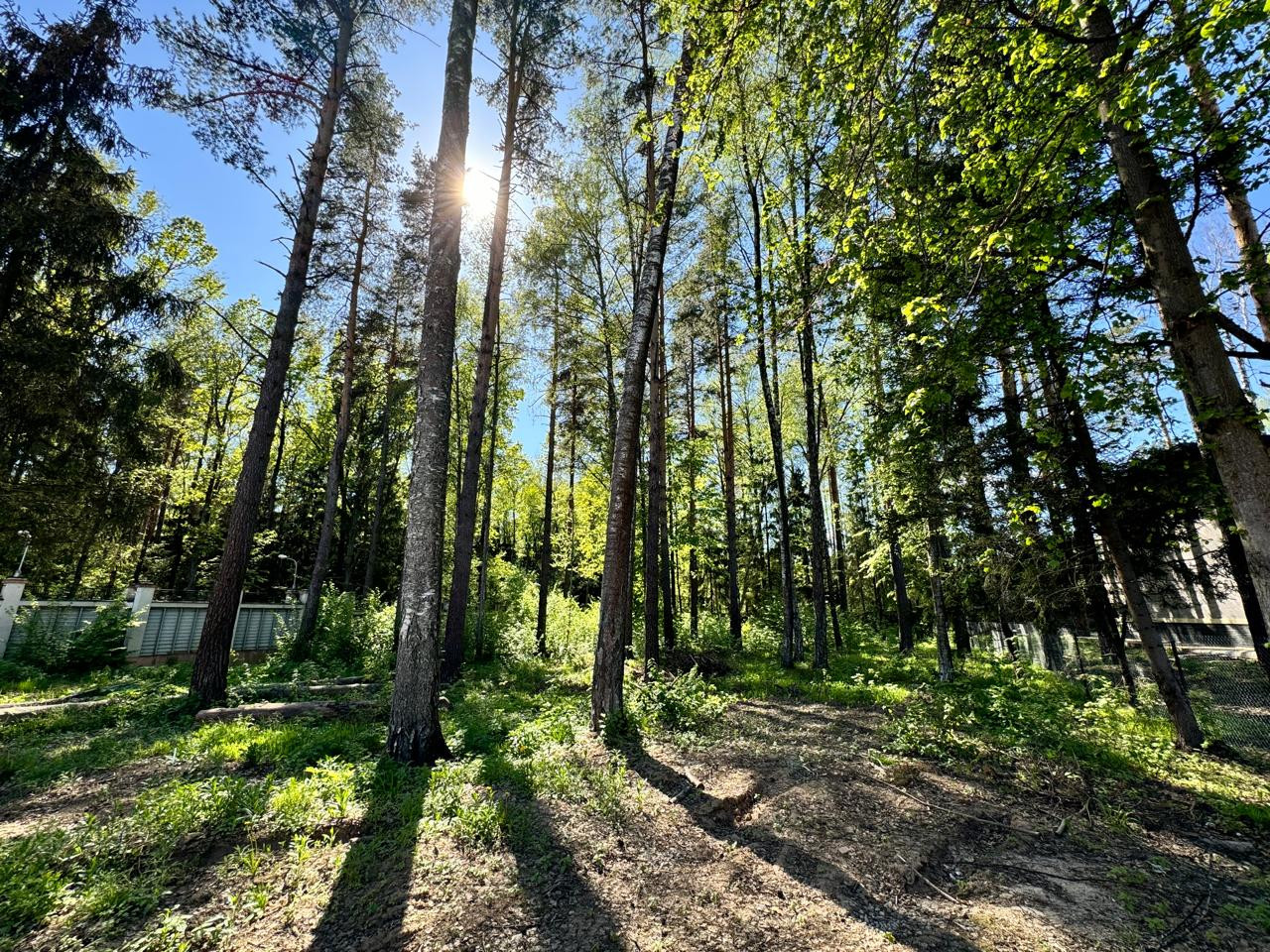 Участок, Новогорск