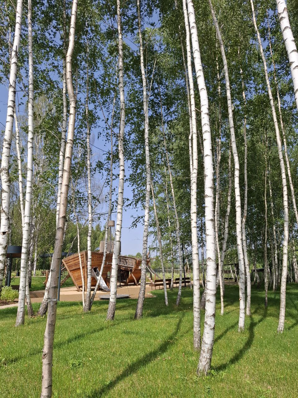 Участок, Красногорск