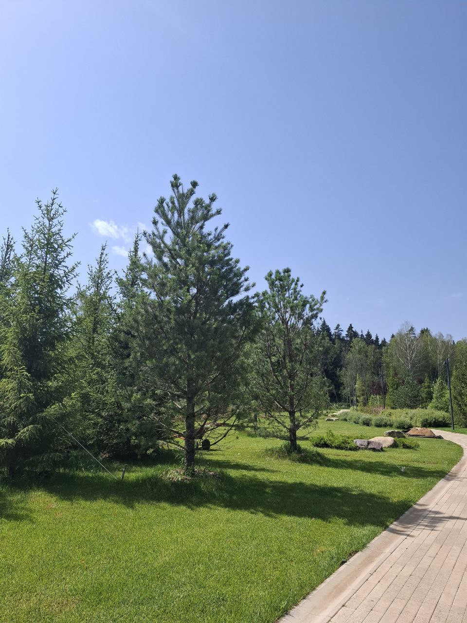 Участок, Красногорск